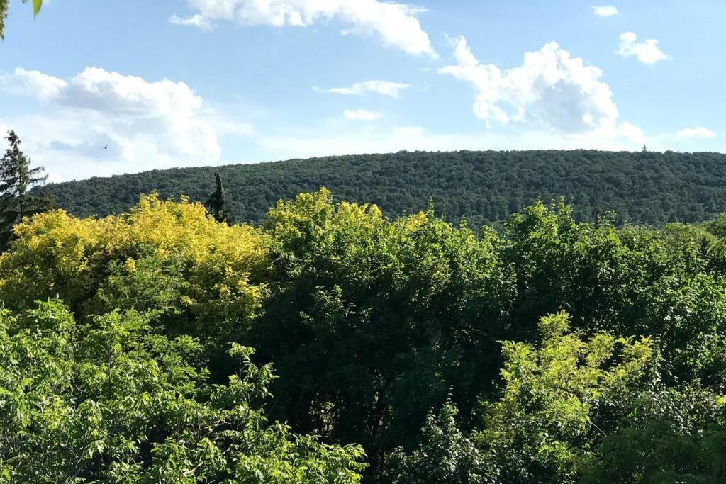 Appartamento 'new' Sunkissed On The Old Hill