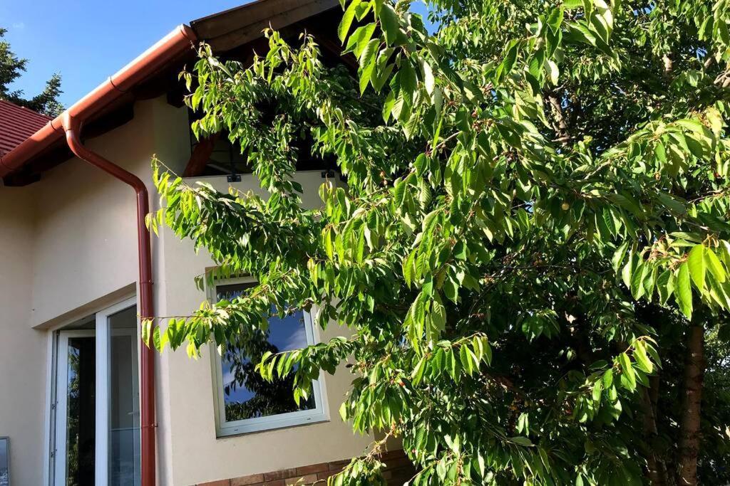 Apartment 'new' Sunkissed On The Old Hill *