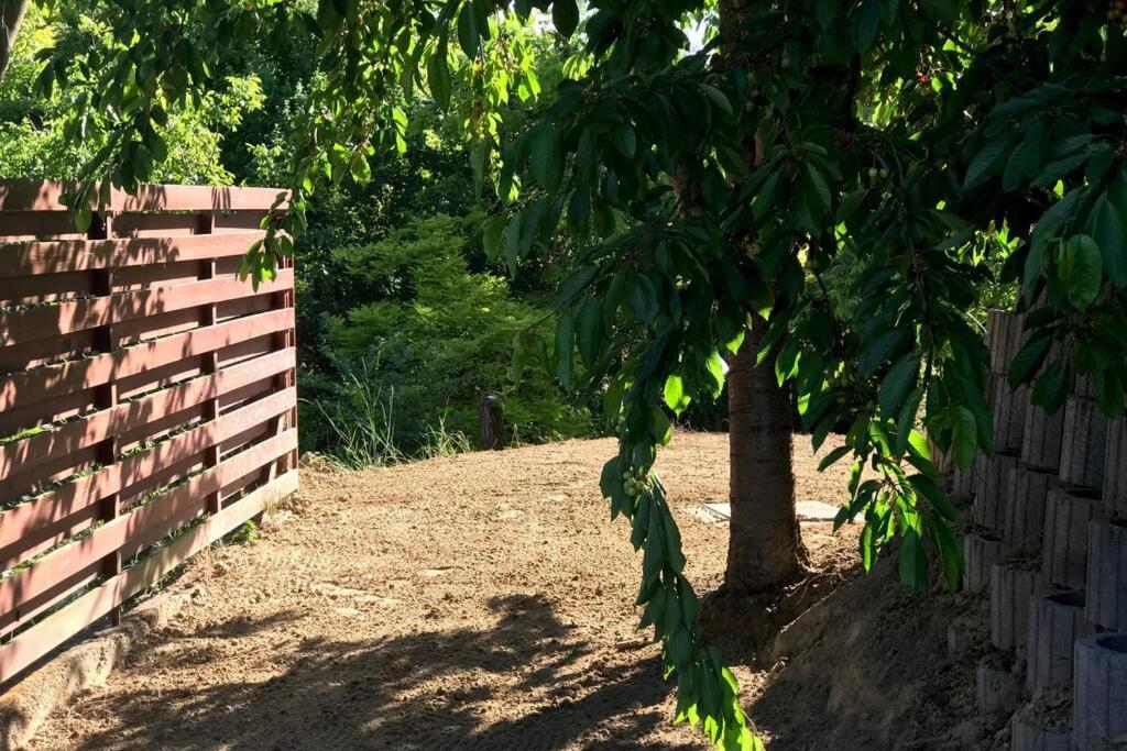 'new' Sunkissed On The Old Hill Balatonalmadi