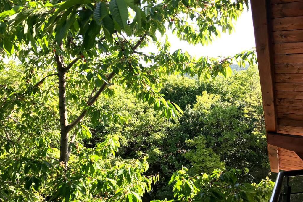 'new' Sunkissed On The Old Hill